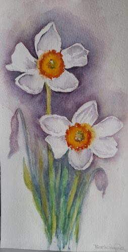 Chrissy F, Narcissi, watercolour.